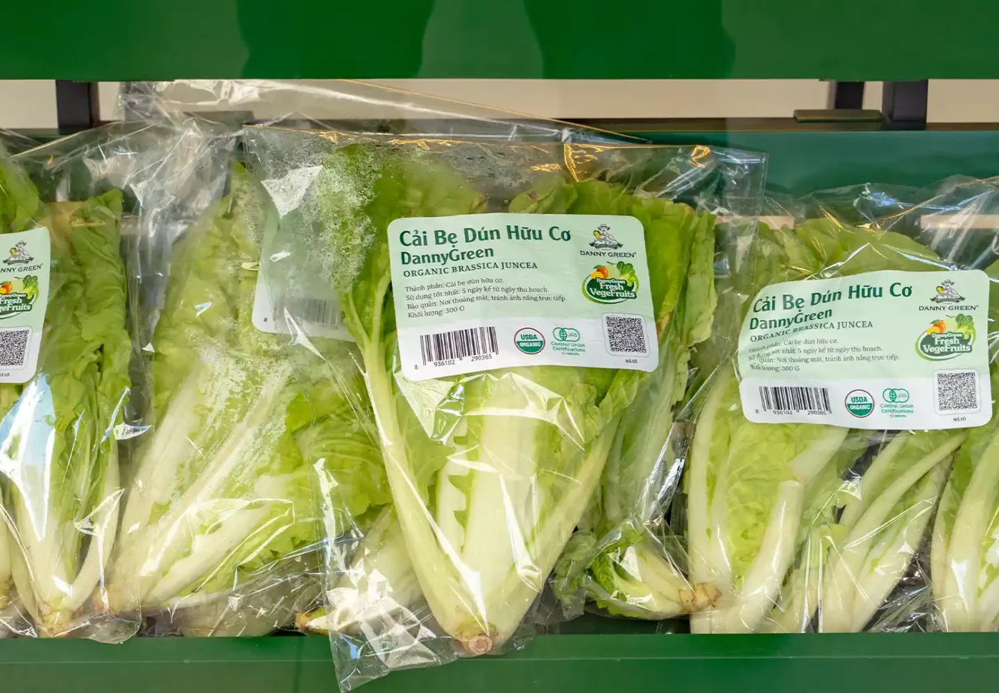 Cải Bẹ Dún DannyGreen