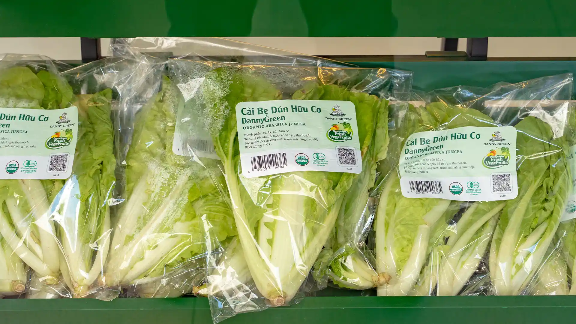 Cải Bẹ Dún DannyGreen