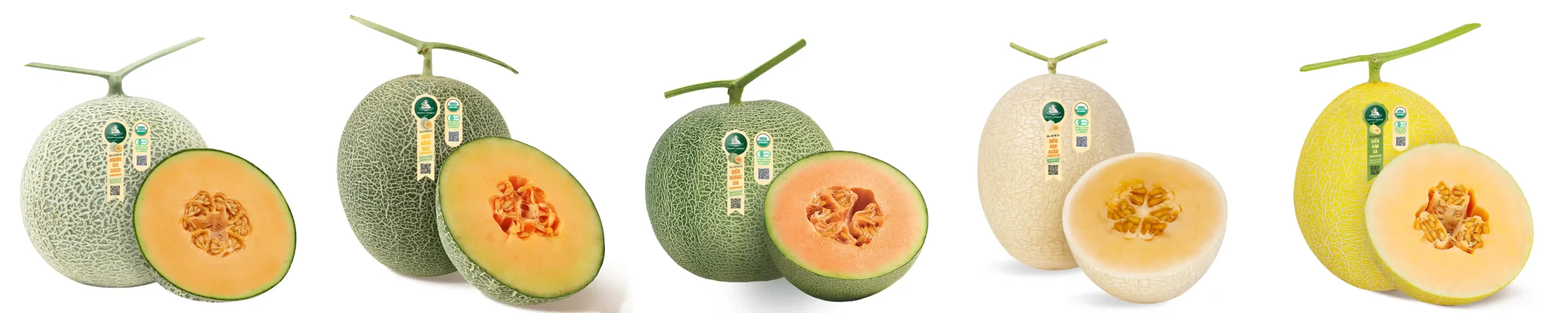 Các giống Dưa Lưới Hữu Cơ DannyGreen