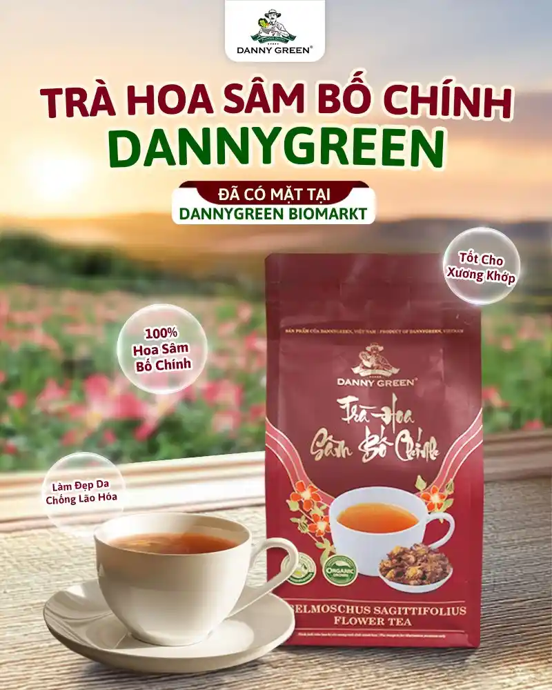 Trà Hoa Sâm Bố Chính DannyGreen
